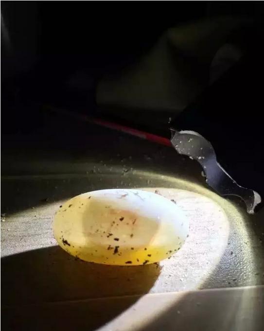 乌龟蛋在自然条件下怎么孵化,养一只乌龟下蛋了能孵化出来吗