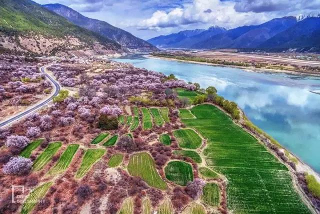 林芝为什么那么魅力,林芝深度游最佳路线