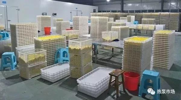 热泵烘干和直排烘干有什么区别,热泵烘干设备知识