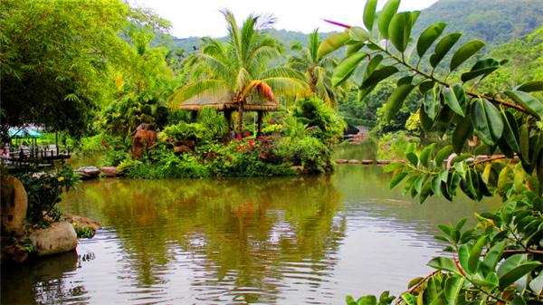 偶遇阳光、海滩在三亚