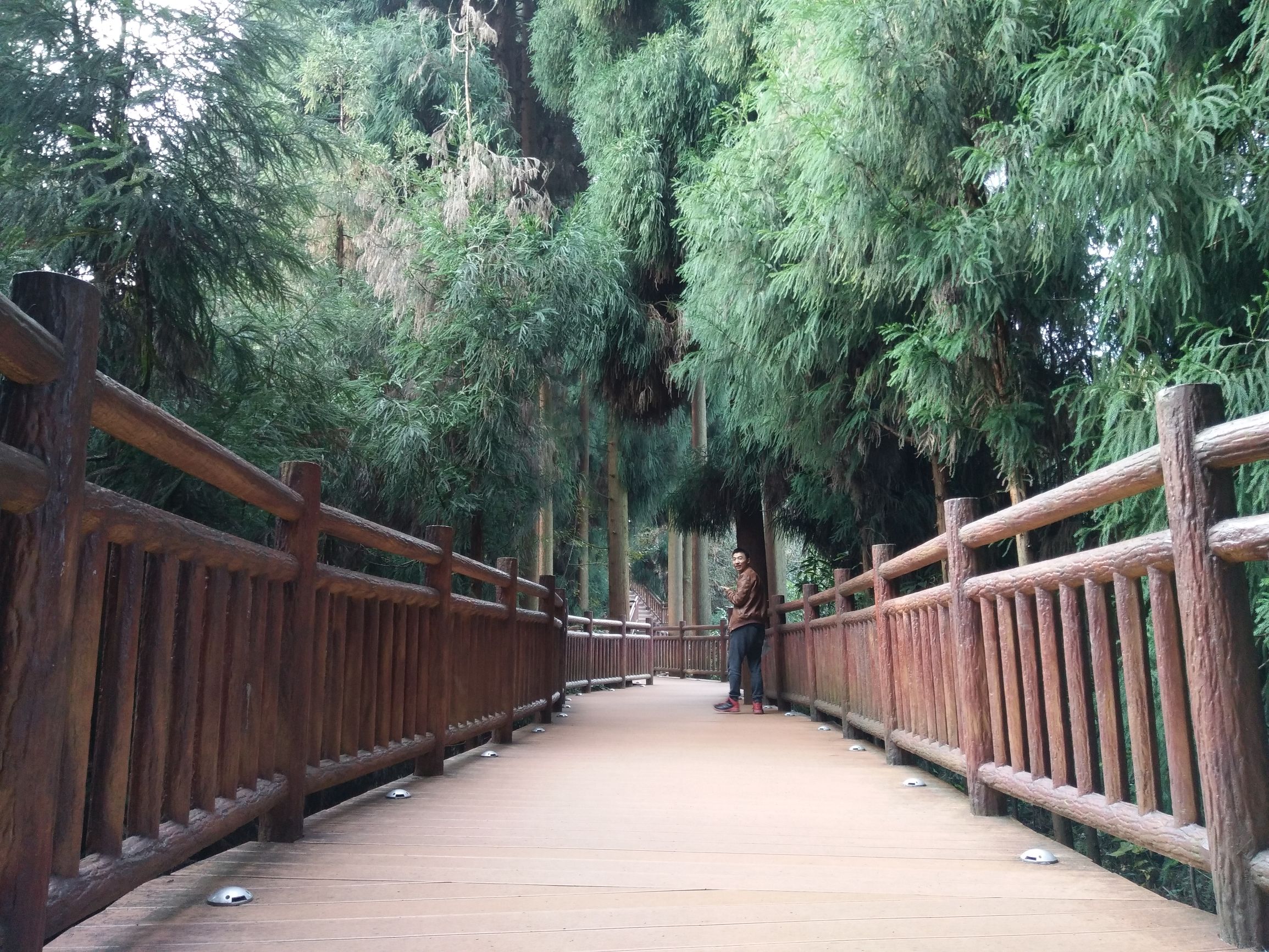 峨眉半山七里坪吃什么,峨眉半山七里坪怎样