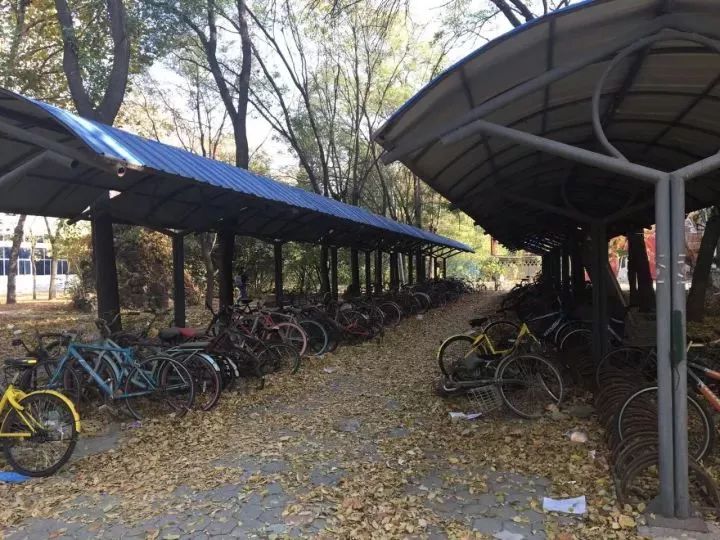 天津体育学院卫津南路51号,再见了天津视频