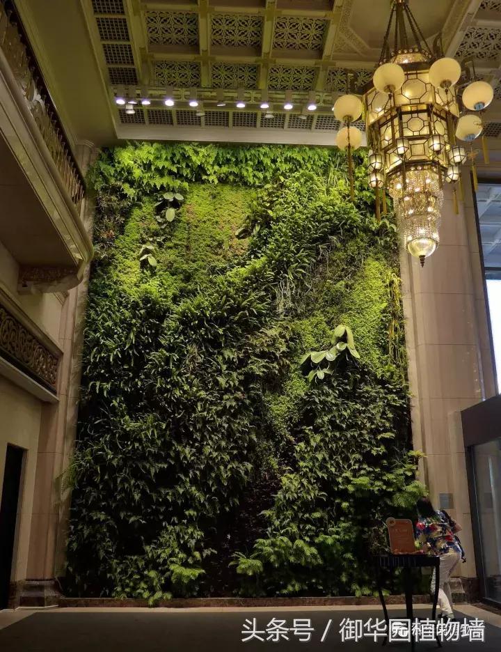 他曾说过：每一面植物墙都是一个花园……