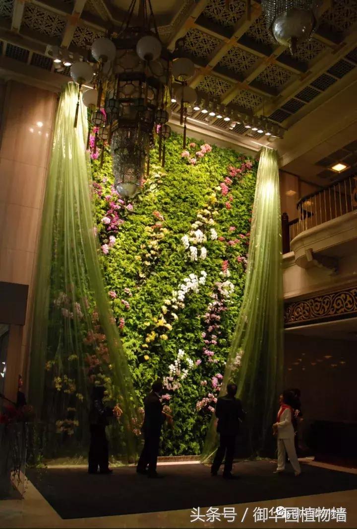 植物大战僵尸之父是中国人,植物墙创始人