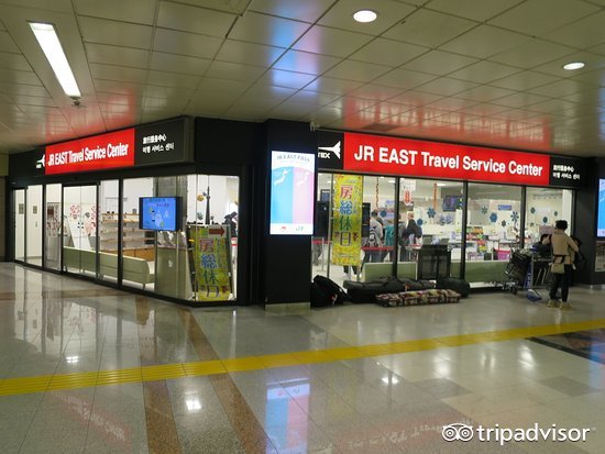 免税店双十一有优惠活动吗,红包折扣优惠