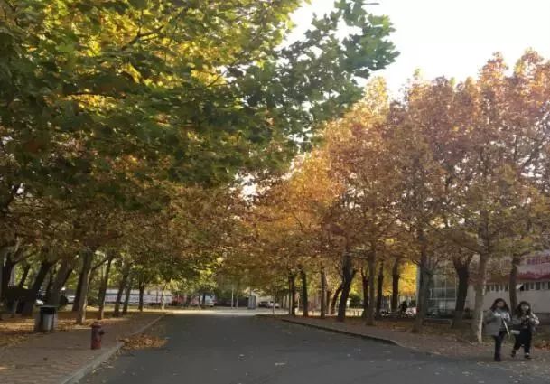 天津体育学院卫津南路51号,再见了天津视频