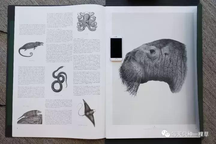 这些好物,她们来不及等到双十一就剁手了