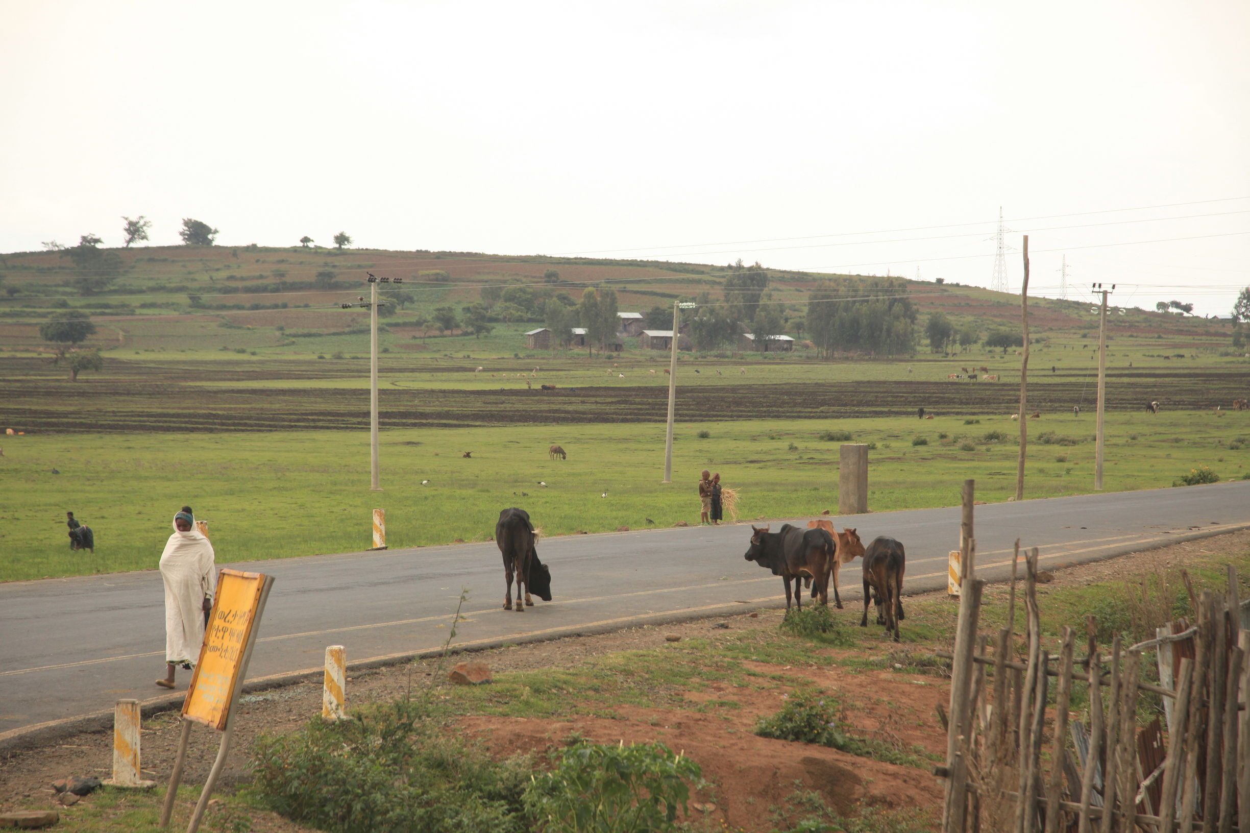 中国护照落地签或者免签的国家,中国免签和落地签国家数量2024