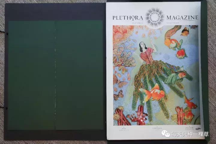 双十一你买什么最划算,双十一你们都买啥推荐一下