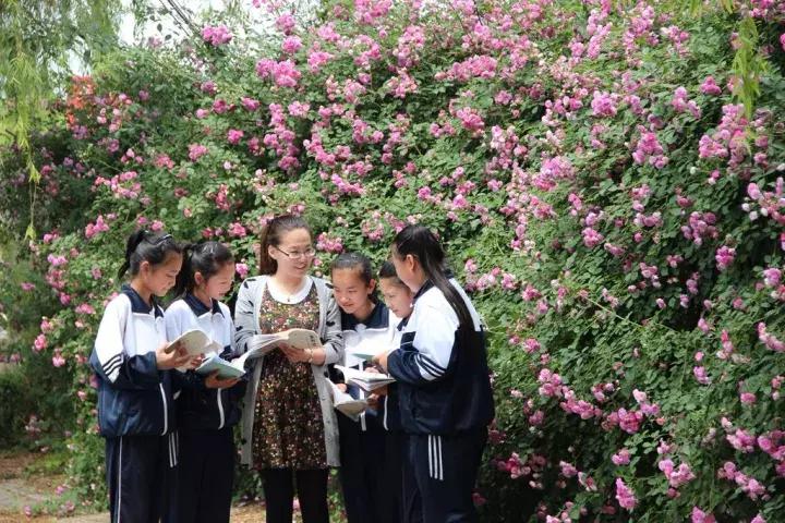 一样的乡愁,一样的乡愁原唱是谁