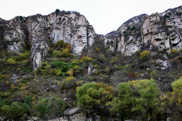 一场完美的绝地反击,尼康d850各镜头测评