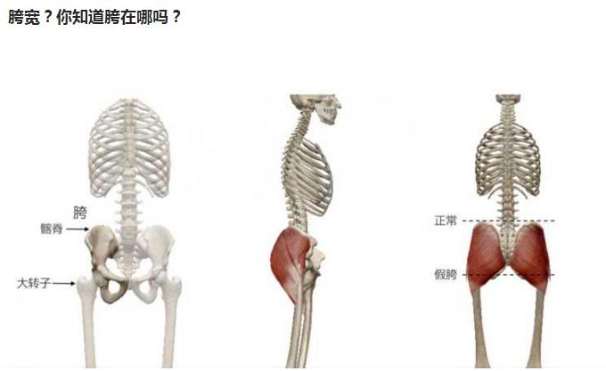 胯宽怎么办教程视频,改善假胯宽最有效的动作