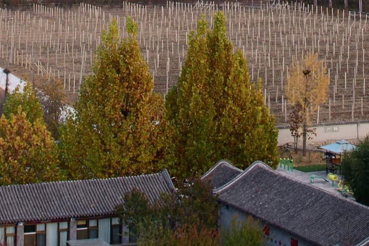 一场完美的绝地反击,尼康d850各镜头测评