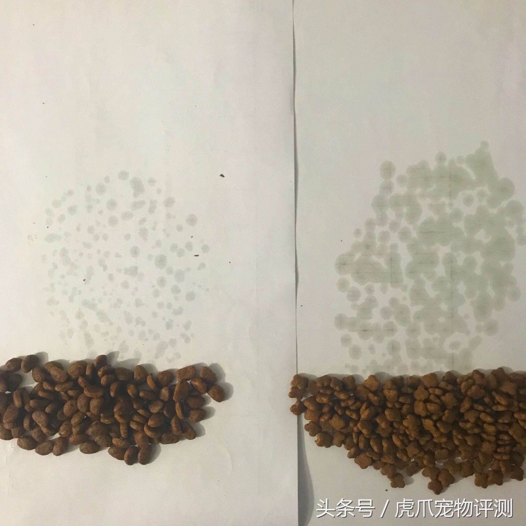 皇家猫粮测评翻车,皇家猫粮幼猫猫粮真实测评