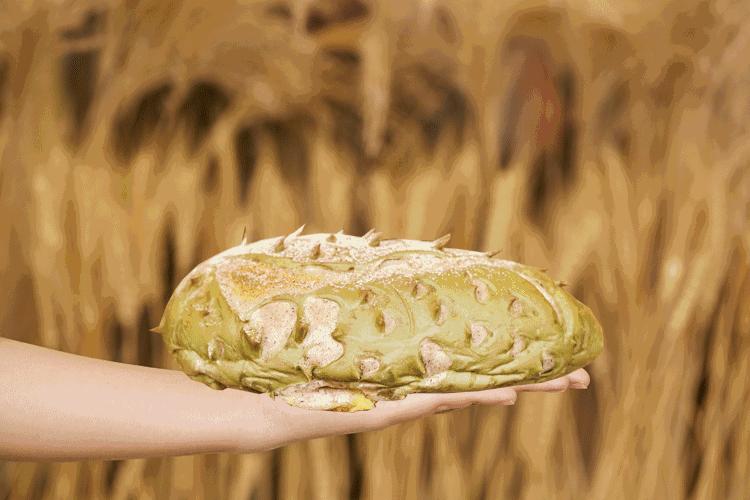 这块扎手的“榴莲”居然要连“刺”一起啃着吃