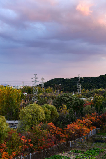 尼康d850可以碾压同价格的微单吗,尼康d850与尼康d5连拍对比测评