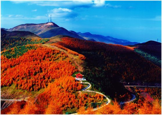 宁夏，7大必去之地！