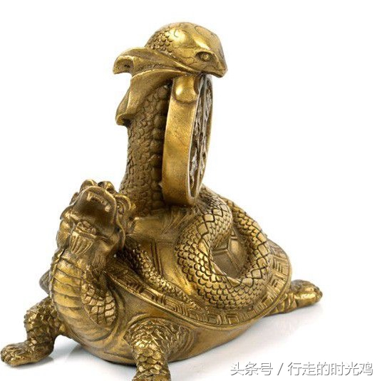 鲲鹏是一种什么动物,鲲鹏是什么神兽