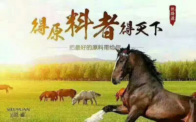 马油创始人,丝路源马油