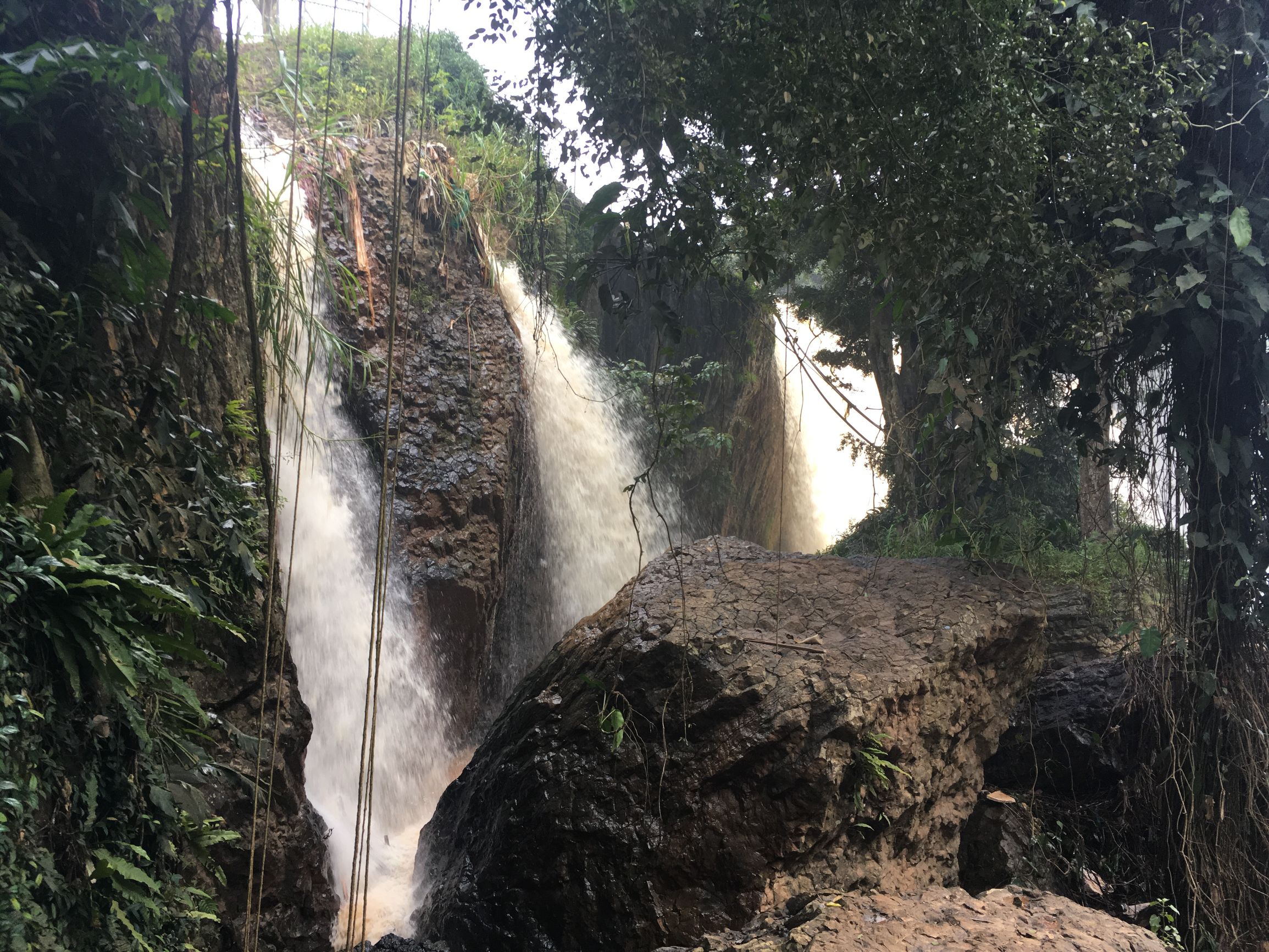 分享越南旅游攻略,越南大叻网红景点