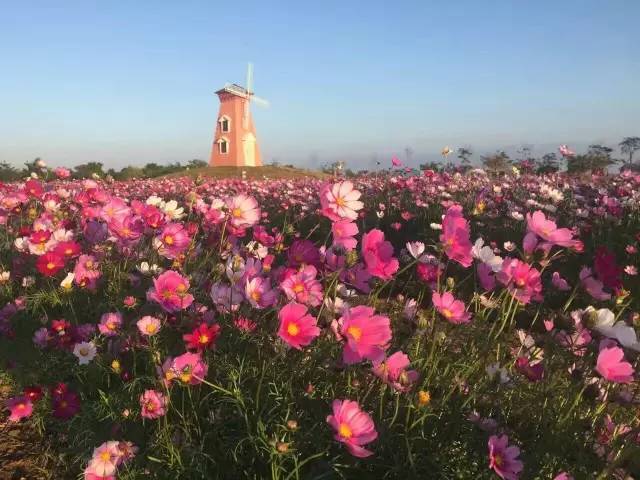 双十一｜光棍节，惠州紫溪半岛*光脱**攻略