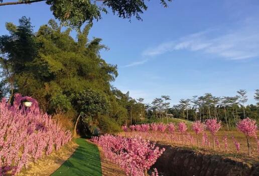 双十一光棍节活动主题,双十一光棍节图集
