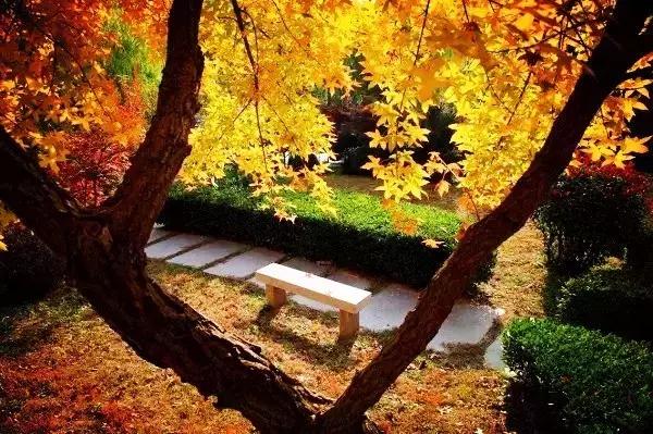 青岛最美地铁,青岛最美九大风景区