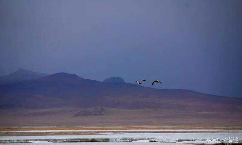 一个人的羌塘,一个人的羌塘无人区