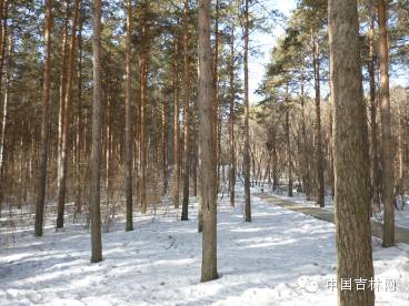 吉林暑假旅游自驾攻略,国庆吉林自驾游必去的十个景点