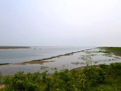 春天适合去哪踏青盐城,盐城春暖花开一日游攻略