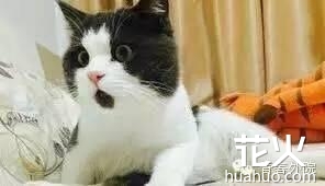 看看Youtube和Skype这些应用你读错了几个