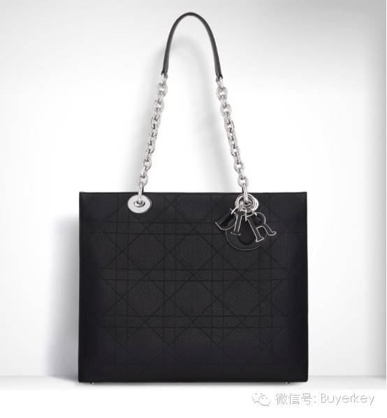 Dior 2016新款包包一个比一个美，都可以买到了！