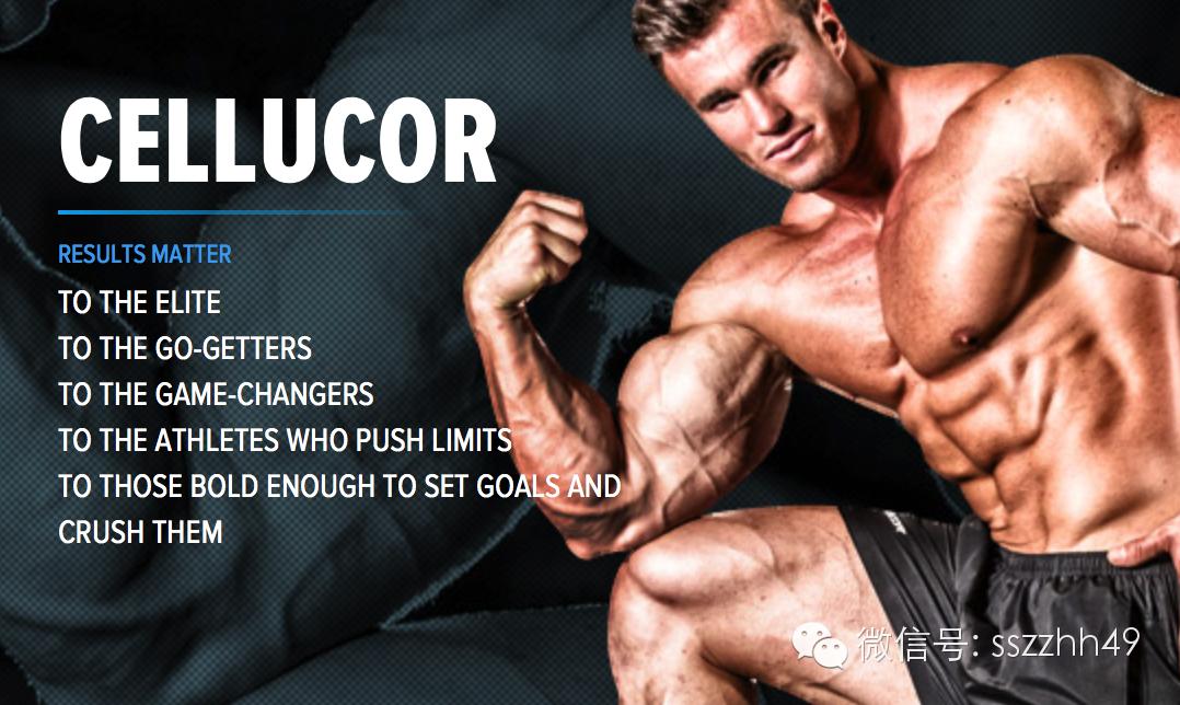 超级好吃增肌餐,cellucor乳清蛋白粉怎么样