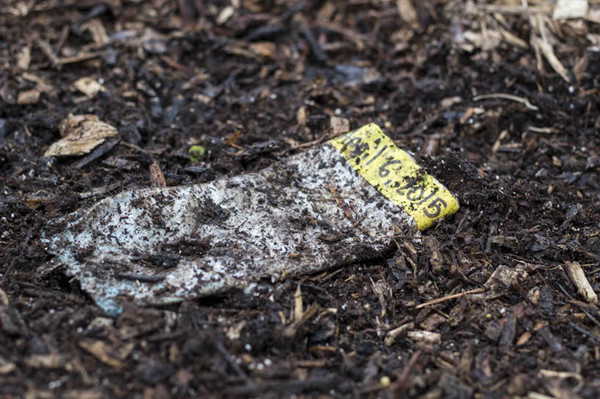 纸水瓶,纸制水瓶