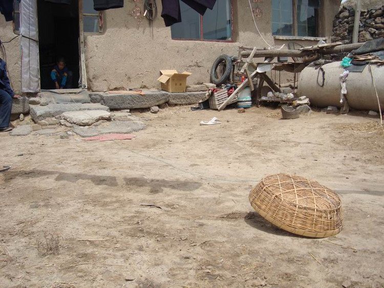 晒谷子怎么驱赶麻雀,如何驱赶谷子地里的麻雀