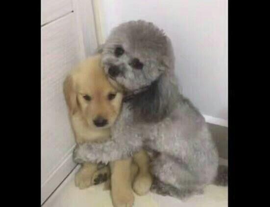 老婆疯狂网购老公忍无可忍发火,140万刷爆17张卡完整版