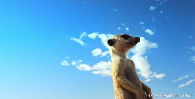 这34个间谍，每天只干一件事：*窥偷**！还拍成电影全球上映？