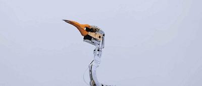 这34个间谍，每天只干一件事：*窥偷**！还拍成电影全球上映？