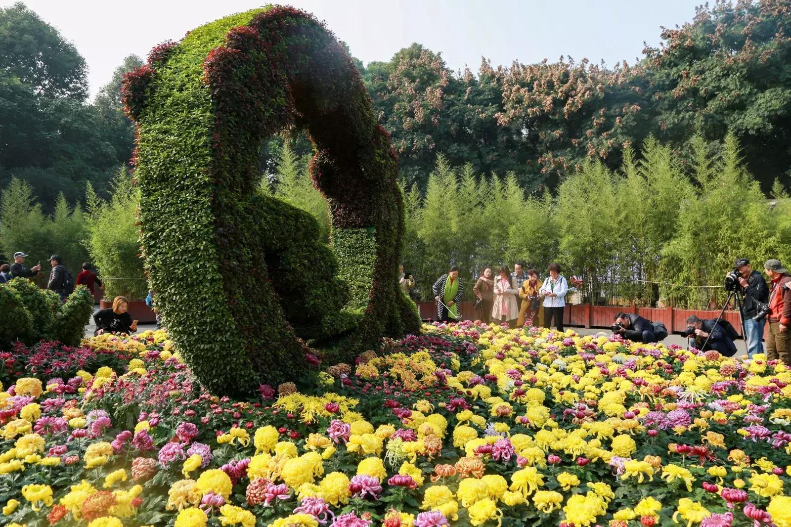 在成都都可以领什么补贴,成都有哪些福利可以领