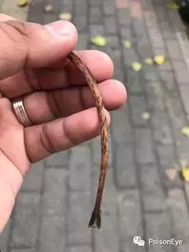 传承中华北京布鞋文化,传承老北京布鞋