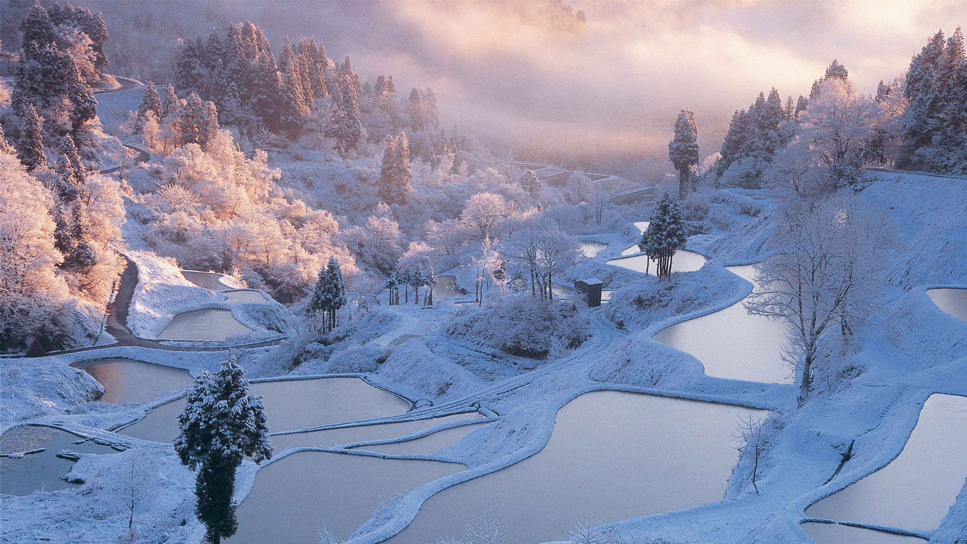 说实话，我太愿意让朋友圈知道在国外玩，特别是在当下