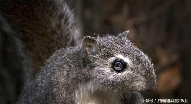 这34个间谍，每天只干一件事：*窥偷**！还拍成电影全球上映？