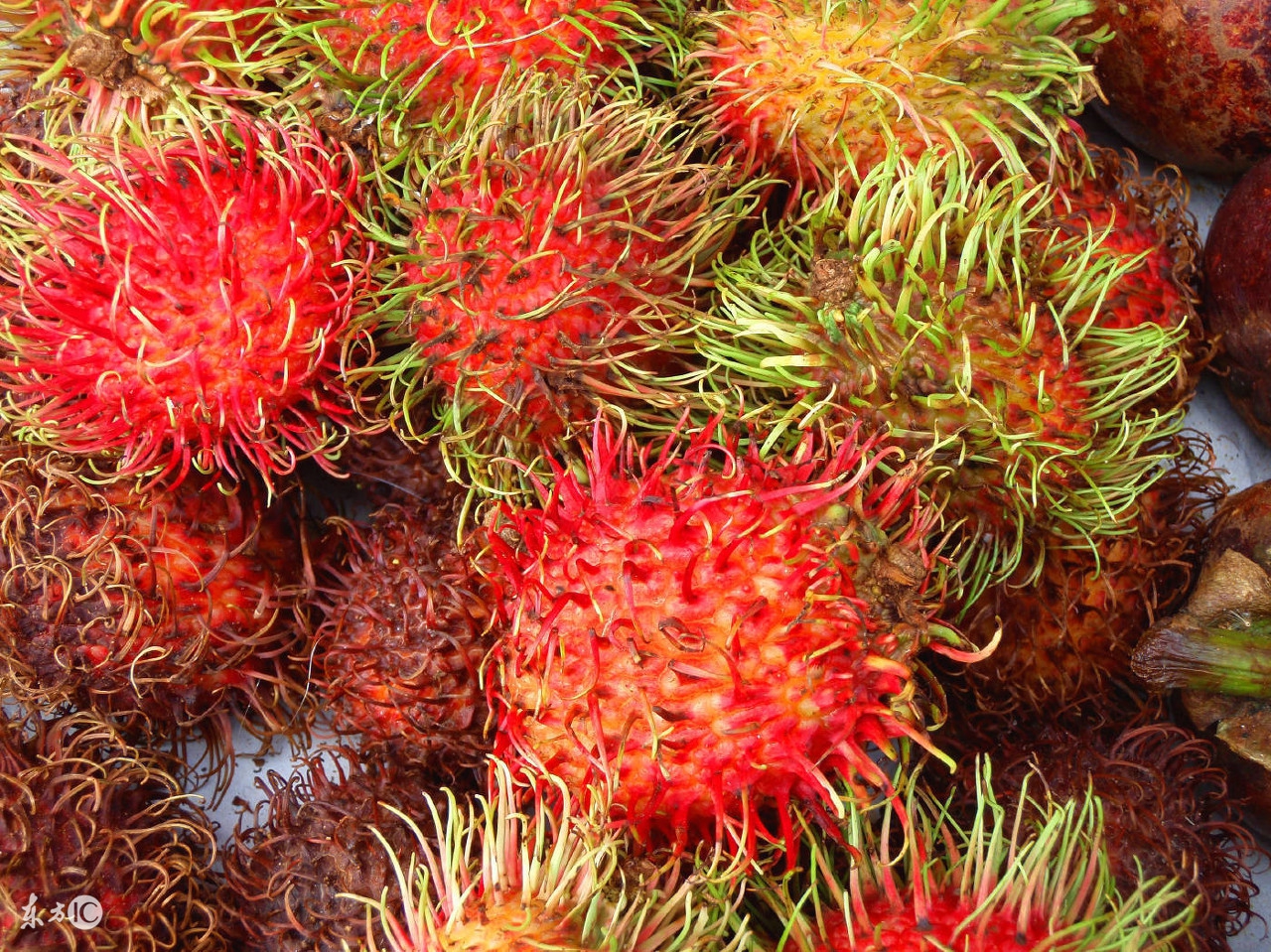 泰国花100块钱可以去哪里,1000元泰铢在泰国能玩几天