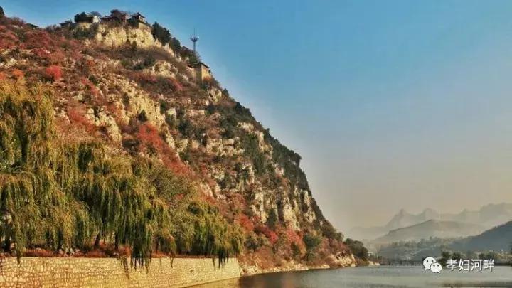 博山区银杏树,博山源泉淄博二中