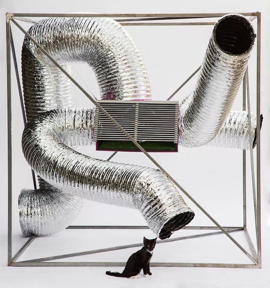 大爱！为这些百变多样的猫屋打call