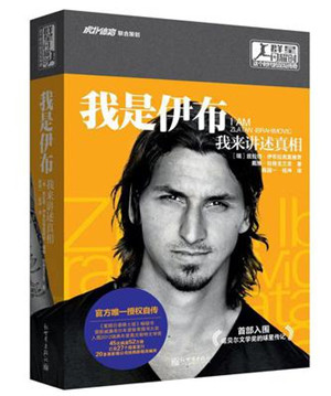 世界杯著名球星排名,世界杯十大足球明星