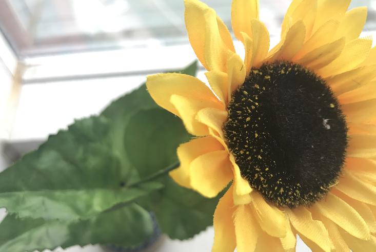 数码评测必装的软件,数码科技测评产品