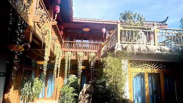 称“蚊子是宠物”,两丽江客栈各被罚20万