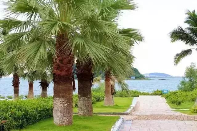 别再跟我说“母鸡”去哪玩！广州48个一日游免费景点推荐！