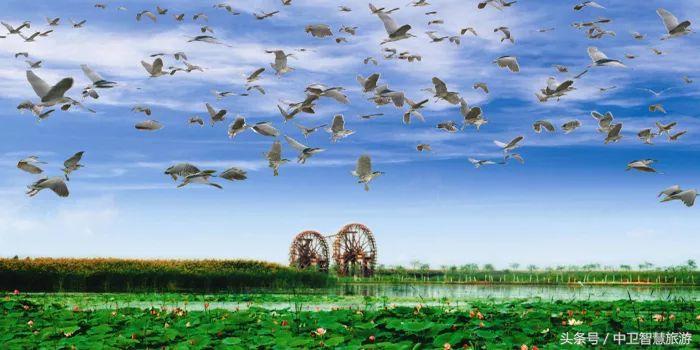 再过9天，中卫人就能休假133天！然而除夕前一天竟然是……